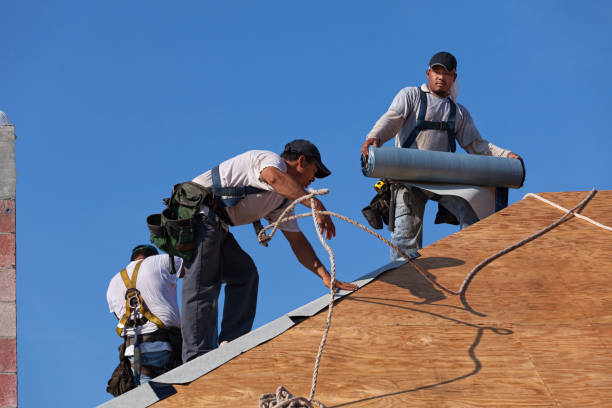 Best Roof Maintenance Services  in Palmyra, WI