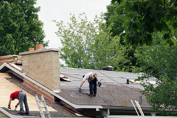Best Commercial Roofing Services  in Palmyra, WI