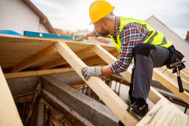 Best Local Roofing Companies  in Palmyra, WI