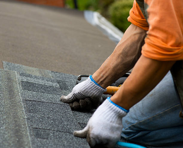 Quick and Trustworthy Emergency Roof Repair Services in Palmyra, WI