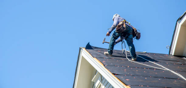 Best Metal Roofing Contractor  in Palmyra, WI